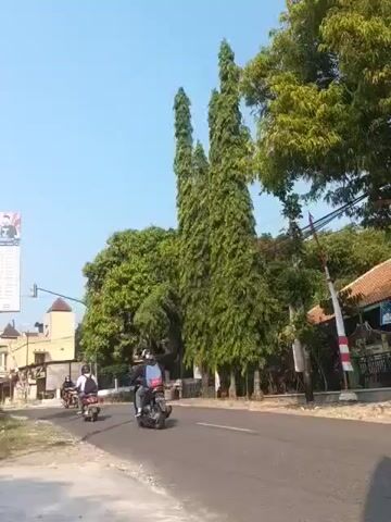 The video shows a sunny outdoor scene with a clear blue sky and lush green trees. A paved road curves through the scene, with a few motorcycles riding on it. The motorcycles have riders, some of whom are wearing helmets. In the background, there are buildings and a traffic light. The overall impression is of a typical day in a town or village.