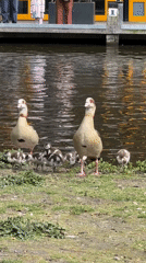 Family enjoys pancakes, carriage ride, canal tour in Amsterdam