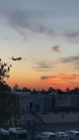 A passenger airplane, identified as Ryanair, is seen descending for landing against a vibrant sunset sky. The aircraft has its landing gear deployed and landing lights illuminated. Below the flight path, a parking lot with several parked cars is visible. In the background, there are buildings and trees. Two large signs or billboards with the text "HILS" and a phone number "0310 082 174" are prominently displayed. The sky exhibits warm orange, pink, and grey hues, indicating either sunrise or sunset, with the plane flying into the light. The scene suggests proximity to an airport, consistent with the provided location context of Otopeni, Romania.