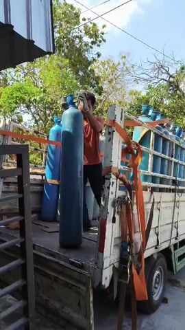 A man wearing an orange shirt and dark pants is shown in a side-view shot, standing on the back of a white flatbed truck. He is in the process of moving a large, blue gas cylinder. The truck bed is filled with several other gas cylinders, some blue and some white, all strapped down with orange tie-down straps. The man is holding the blue cylinder with both hands, appearing to be guiding it into place. The truck is outdoors, with trees and foliage visible in the background under a bright sky. To the left of the truck, there is a metal fence or gate. The video captures the action from a low angle, looking up at the man and the truck.