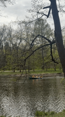 Spring morning brings families, boats, wildlife to Saint Petersburg park
