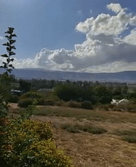 Rural vegetation and open landscape, northern Israel