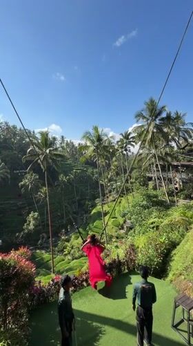 Adventure swings and cultural experiences in Tegallalang rice terraces
