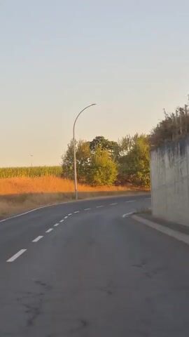 A video shows a winding road with a broken white line on the left side. A street lamp is on the right side of the road, and trees and fields are in the background. The sky is clear and pale blue. The video appears to be taken from a moving vehicle.