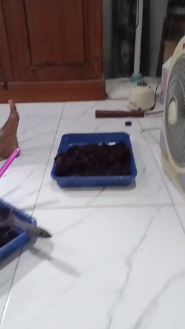 A video shows a person's legs on a tiled floor next to two blue trays filled with a dark, granular substance. The person is wearing a dark, floral-patterned dress. To the left of the trays, there is a pink spatula and a grey spatula. In the background, there are several trays filled with small, individually wrapped items, and wooden doors. The lighting is dim.