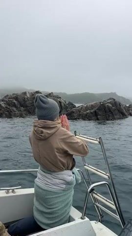 The video shows a person standing on a boat, facing away from the camera, with a gray knit hat, a tan hooded jacket, and a light green towel wrapped around their waist. They are holding onto the boat's stainless steel railing.  

The boat is moving through dark, choppy water toward a rocky island partially obscured by fog. Several dark rocks jut out of the water. A bird flies overhead.

As the boat moves closer, seals can be seen resting on the rocks. The background is a hazy gray, suggesting overcast weather.