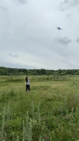 A person is flying a kite in a field. The person is in the lower left of the frame, facing right, and appears to be throwing their arm up. The kite is in the upper right of the frame, and it is blue and red. The field is green and there are trees in the background. The sky is cloudy.