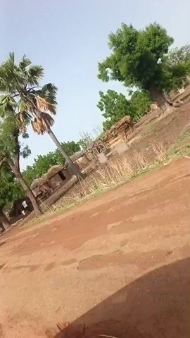 The video shows a dirt road in what appears to be a village setting. Several trees and simple structures, possibly huts or dwellings, are visible in the background. A group of people, including children, is gathered near one of the structures. The sky is light blue. The camera appears to be moving.