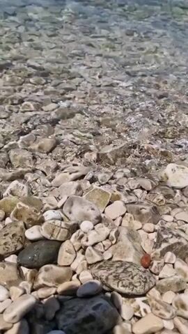 The video shows a low-angle view of a rocky beach with clear, shallow water lapping at the shore. The water is so clear that the pebbles and rocks on the seabed are visible. In the distance, the blue ocean stretches out under a bright sky, with a few people swimming and relaxing on the water. There are also some buildings visible on the coastline in the far distance, suggesting a developed area.

The activity taking place is a calm day at the beach, likely during the summer season, given the clear sky and people enjoying the water. The time of day appears to be daytime, with bright sunlight casting reflections on the water's surface. The weather seems pleasant and warm, ideal for a beach outing.

Notable details include the variety of stones and pebbles on the beach, ranging in size, shape, and color, with some appearing wet and darker from the water. The gentle movement of the water over the rocks creates a soothing visual effect. The overall emotion conveyed is one of peace and relaxation, characteristic of a serene beach environment. No visible text is present in the video. The location context of Zadar, Croatia, suggests a Mediterranean coastal setting.
