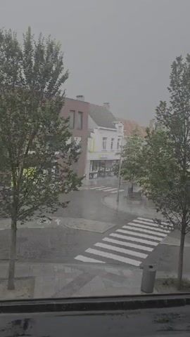 The video shows a street corner with buildings and trees on a rainy day. A crosswalk is visible on the wet asphalt. The sky is overcast and the visibility is reduced due to the rain. There are no people or vehicles visible in the scene.
