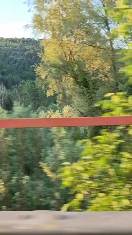 A video clip shows a view of a river and a forested hill from a moving vehicle, possibly a car. A wooden railing with some green vines growing on it is visible in the foreground, indicating the view is from a bridge or a similar elevated structure. The river flows through the landscape, with trees and bushes lining its banks. The hill in the background is covered with dense green forest, and the sky is clear and blue. The video appears to have been shot during the daytime, with the sun casting shadows and highlighting parts of the landscape.