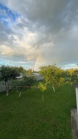 The video shows a backyard scene with trees and a rainbow in the sky. The grass is green and well-maintained. The trees are leafy and appear to be fruit trees. The rainbow is vibrant and arcs across the sky, with clouds visible in the background. The scene suggests a pleasant, possibly post-rainy day.
