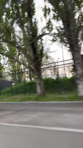 The video shows a view from inside a moving vehicle looking out at the roadside. The camera quickly passes by a blue car on the left side of the road, and then the focus shifts to the trees and fences lining the road. A red car and a parked motorcycle are also briefly visible. The sky is overcast.