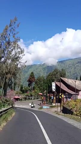 This is a video recording from a moving vehicle, likely a motorcycle, traveling along a paved road in a mountainous area. The road curves to the left, with a white line marking the center. To the right of the road, there are several buildings with red-tiled roofs and some shops or stalls. A person on a motorcycle is visible in the middle ground, carrying a large bundle on the back.

The setting is lush and green, with a variety of trees, including a tall tree with long, drooping branches on the left side of the frame. In the background, rolling green hills are covered in mist and clouds, suggesting a humid, possibly tropical climate. The sky is a vibrant blue with fluffy white clouds, indicating it is daytime, likely mid-morning or early afternoon.

There are a few signs visible. One sign with yellow and black markings indicates a sharp curve to the right. Another sign above one of the buildings is white with text, but it is too blurry to read. The overall mood is peaceful and scenic, capturing a glimpse of rural life in a beautiful natural environment. The location context of Wonokerto, Indonesia, points to a Southeast Asian setting.