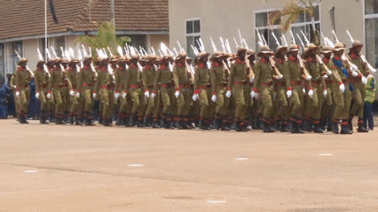 Military parade with synchronized formations held in Tanzania