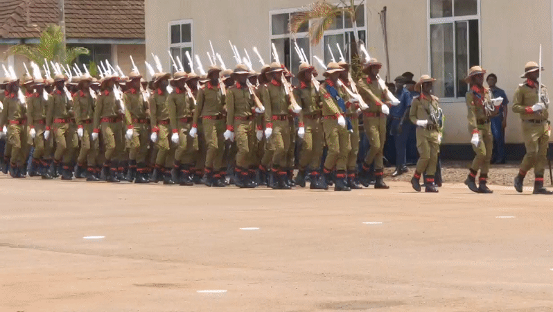 Military parade with synchronized formations held in Tanzania