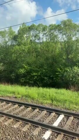 The video shows a view from a moving train, focusing on the railway tracks and the surrounding landscape. The tracks are composed of metal rails and gravel ballast. Lush green vegetation, including grass and trees, flanks the tracks. Above the trees, the sky is visible, featuring a mix of blue sky and white clouds. Power lines and a concrete support pole for the overhead lines are also visible.