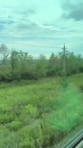 The video shows a view from a moving vehicle, looking out at a grassy landscape with trees and a cloudy sky. There are utility poles and wires visible in the distance. The foliage is predominantly green, with some bare branches on the trees. The lighting suggests it is daytime.