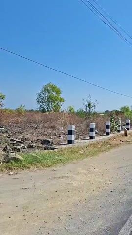 The video shows a roadside scene on a clear day. In the foreground, a dirt road is visible, with a paved road running alongside it, marked with a white line and yellow center lines. Along the edge of the paved road, there are several black and white striped posts, likely bollards, that appear to delineate the road's edge. Beyond the road, there is a patch of dry, brown vegetation and some scattered debris. Further back, several trees with green foliage are present, along with a utility pole and overhead wires. The sky is a clear, bright blue. The camera appears to be moving, suggesting the video was taken from a vehicle.