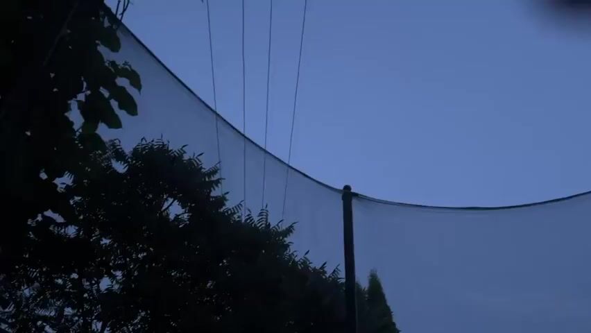 The video shows a low-angle shot of a trampoline enclosure net at dusk. The sky is a deep blue, suggesting it is either early morning or late evening. Trees and foliage are visible in silhouette on the left and right sides of the frame, partially obscuring the sky. The net is taut and curved, supported by poles which are mostly out of frame. There are no people or animals visible in the video. The overall impression is one of quiet and stillness, with the dim lighting creating a slightly mysterious atmosphere.