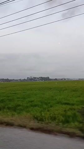 The video shows a view from a moving vehicle, looking out at a lush green field of rice paddies under a cloudy sky. In the distance, a cluster of buildings and trees are visible. The sun is faintly visible through the clouds. Telephone poles and wires run along the side of the road, which is made of asphalt. The camera pans slightly as the vehicle moves, causing the trees in the foreground to blur.
