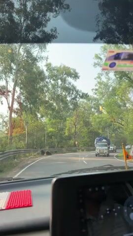This video appears to be a first-person perspective from inside a vehicle driving on a paved road surrounded by lush green trees. The road is curved, with guardrails on one side. The scene suggests a scenic route, possibly in a rural or mountainous area.

In the distance, several vehicles are visible, including a white SUV with a blue tarp on its roof, and a white car. The time of day appears to be daytime, with bright sunlight filtering through the trees, creating dappled light patterns on the road. The weather seems pleasant, with clear skies visible through the canopy.

The interior of the vehicle is partially visible, showing a dashboard with a red textured object and a dark screen. The overall mood is one of travel and exploration, with a sense of peace and immersion in nature. The location is identified as Haripur, India.

No explicit text is clearly legible in the video.
