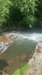 Traveler documents water features during forest drive