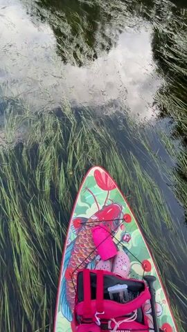The video shows a top-down view of a stand-up paddleboard from the perspective of someone on it. The paddleboard has a colorful design featuring a koi fish and lotus flowers. Attached to the paddleboard is a pink dry bag and a pink life vest. The paddleboard is on dark water with long green aquatic plants growing upwards from the bottom. The water surface reflects the sky and trees. The scene appears to be in a calm, natural body of water, possibly a river or a lake.