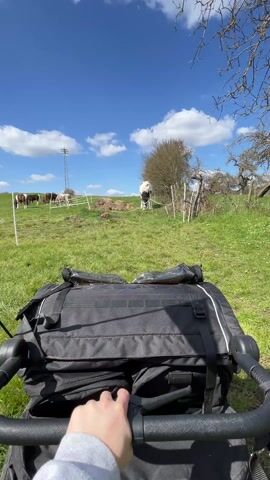 The video shows a first-person perspective of someone holding the handle of a black bag, likely attached to a stroller or similar wheeled carrier. The bag is in the foreground and fills much of the lower portion of the frame. The background is a grassy field under a bright blue sky with scattered white clouds. Several horses are grazing in the field, partially obscured by a simple wire fence. A utility pole is visible in the distance. The overall impression is of a sunny day in a rural or pastoral setting.  The person appears to be holding the bag steady.