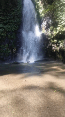 Waterfall observed cascading into pool amid lush vegetation