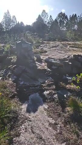 The video pans across a rocky, outdoor landscape under a clear sky with the sun casting long shadows. The ground is covered in large, uneven rocks, interspersed with dry grass and some sparse vegetation. In the background, a dense line of tall, coniferous trees forms a natural barrier. The camera movement is slow and steady, allowing the viewer to take in the rugged terrain and the serene natural setting. There are no people or animals visible in the footage, and no discernible actions or interactions are taking place. The overall impression is one of a quiet, natural environment, possibly a park or a natural reserve, with the rocky ground suggesting a slightly challenging or undeveloped terrain.