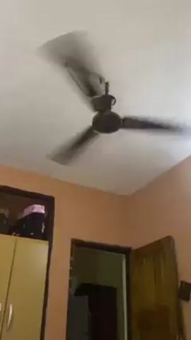 The video shows a brown ceiling fan rotating in a room. The room has peach-colored walls and a white ceiling.  A dark-colored door and a cabinet with a partially visible box on top are also visible.