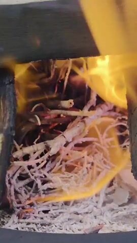 This is a close-up, low-angle shot inside a fire pit. The pit is made of dark, rough material, possibly stone or burnt wood, with a light-colored, possibly wooden, structure forming the top edge. A nest of dry, thin twigs and kindling is at the bottom of the pit, glowing with embers and beginning to ignite. Bright orange and yellow flames are actively consuming the kindling, with tendrils of smoke rising upwards. The fire is intense and dynamic, with the flames flickering and shifting. The overall impression is one of a fire being started or in its early stages of burning.