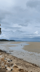 Early morning beach scene captured in Koh Phangan, Thailand