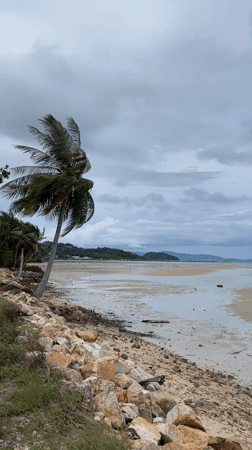 Early morning beach scene captured in Koh Phangan, Thailand