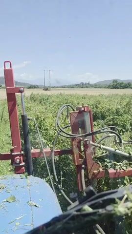 The video shows a view from the cab of a tractor. In the foreground, a blue surface is visible, likely the tractor's hood. A red hydraulic arm with a cylinder extends upwards and to the left. In the center, a red metal piece of machinery with black hydraulic hoses is attached to the tractor. This machinery appears to be actively cutting a field of green foliage, with cut vegetation visible on the blue surface and being tossed upwards. The background consists of a vast green field under a clear blue sky with distant mountains. A power line pylon is visible in the middle distance. The camera is positioned low, looking slightly upwards and forward.
