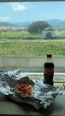 Train passenger enjoys mini pizza during scenic Italian journey