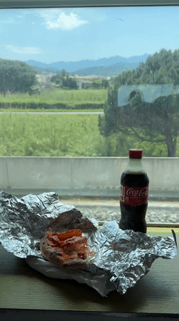 Train passenger enjoys mini pizza during scenic Italian journey