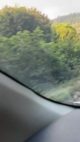 The video, taken from inside a vehicle, shows a rural road bordered by lush green trees and vegetation. The sun appears to be low in the sky, casting a warm glow. A guardrail runs along the side of the road. In the distance, a line of vehicles, including a large yellow truck, are visible, suggesting a traffic jam or a slow-moving procession. Telephone poles with wires are also present along the roadside. The overall impression is of a scenic, yet congested, journey through a natural landscape.