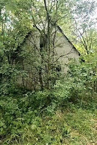 This is a video of a dilapidated building in a forest. The building is made of concrete and has a triangular roof. It is overgrown with trees and vegetation, giving it a sense of abandonment. The video seems to be filmed on a cloudy day, as the lighting is dim. The overall impression is one of decay and neglect.