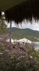 Tropical beach resort scene captured in Nha Trang Vietnam