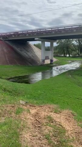 The video presents a view of a concrete bridge under a cloudy sky. Below the bridge, a small stream flows through a grassy area. The banks of the stream are green, and there is a patch of dirt in the foreground. The concrete embankment leading up to the bridge is visible on one side, while trees line the opposite bank of the stream. The pillars supporting the bridge are painted white and are adorned with graffiti. Cars are driving on the bridge.