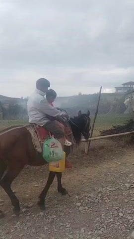 A man and a child are riding a brown horse. The man is in front, and the child is behind him. Both are wearing casual clothes. The horse is carrying two containers, one green and one yellow, attached to its sides. They are on a dirt path, with some scattered rocks. In the background, there are some trees, a fence, and a building. The sky is overcast. There is some smoke in the distance.