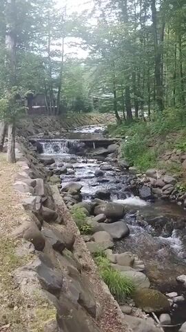 The video shows a natural scene of a forest with a flowing stream. The stream is rocky, with water cascading over smooth, rounded stones. Lush green trees line the banks of the stream, creating a dense canopy overhead. The forest floor is covered with rocks and some vegetation. In the distance, several structures, possibly cabins or small buildings, are visible among the trees on the left side of the stream. The overall impression is one of a tranquil, natural environment. The time of day appears to be daytime, with overcast or diffused lighting, suggesting it might be a cloudy day or early morning/late afternoon. The weather seems calm, with no strong winds evident. The location is identified as Siniak, Ukraine. There are no visible people or text in the video. The atmosphere is peaceful and serene, highlighting the beauty of nature.