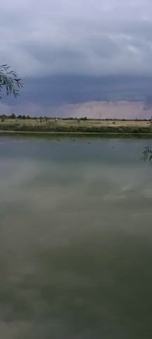 A calm body of water reflects the overcast sky and distant vegetation. Several ducks are visible swimming on the surface of the water. The foreground shows the leaves of a tree branch hanging over the water. The overall atmosphere is serene.
