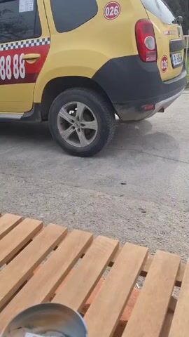 The video shows a yellow taxi parked on an asphalt surface next to a wooden bench. The taxi has the number 026 on its rear window and the phone number 388888 on its doors. A plastic water bottle with a pink cap sits on the bench. The background includes trees and a white van. The camera appears to be stationary, capturing the scene from a low angle.