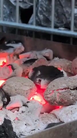 A close-up shot shows burning charcoal briquettes in a grill. The briquettes glow with red-hot embers, and ash covers their surfaces. In the background, a metal grate is visible, behind which are some objects wrapped in foil. The scene is dimly lit, emphasizing the glowing coals.
