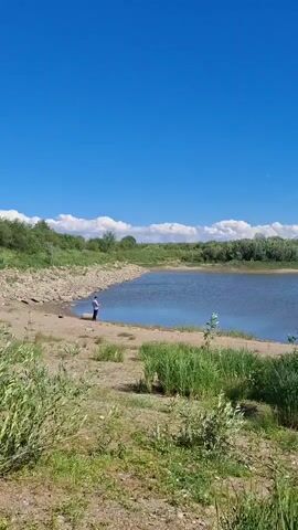 A static shot from the shoreline of a body of water. The water is calm and reflects the bright blue sky above. A person stands on the muddy bank to the left of the frame, facing the water. They are wearing a blue shirt and dark pants. The shoreline is a mix of sand and rocks, with dry grass and reeds growing along the edge. The background shows a line of trees and vegetation against the horizon, under a clear blue sky with a few scattered white clouds. The overall scene depicts a peaceful, natural environment on a sunny day.