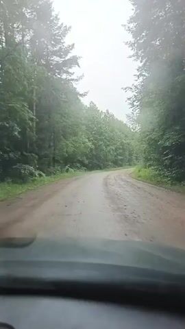 A car is driving down a dirt road through a forest. The road is wet and appears to be muddy in places. The trees on either side of the road are tall and dense, and the sky is overcast. The camera is positioned inside the car, looking out the windshield. The dashboard of the car is visible in the foreground.