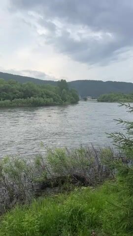 The video shows a wide river flowing through a forested landscape under a cloudy sky. The camera is positioned on the riverbank, with foreground elements of green grass and some bare branches of bushes. The river is a prominent feature, with ripples on its surface indicating movement. Across the river, dense green trees cover the hills that stretch into the distance. The sky is overcast with dramatic grey clouds. There are no people or animals visible in the video, and no specific actions are occurring beyond the natural flow of the river and the movement of the clouds. The environment appears to be a natural, undeveloped area, likely in a temperate climate during the warmer months given the lush greenery. The overall mood is serene and perhaps a little somber due to the cloudy weather.